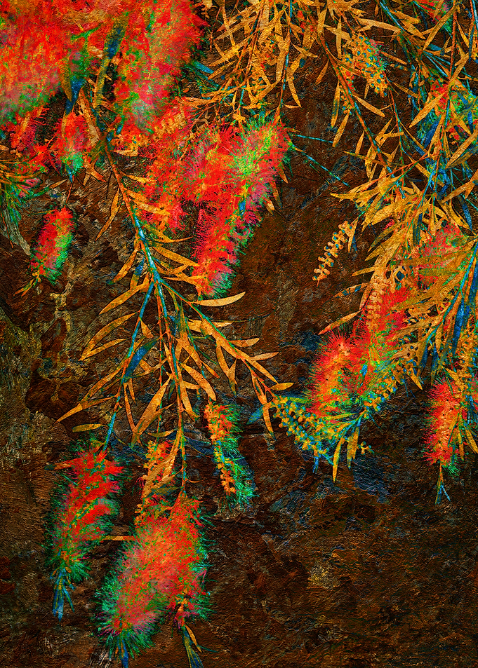 Bottle Brush Tree 2: Close-up of a Vibrant Floral Bush in Vivid Colors and Dark Textured Background