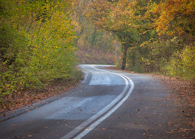 Winding Road Through Autumn Forest