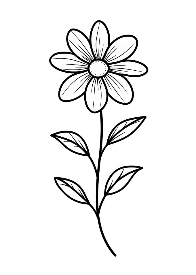 Daisy Flower Line Art