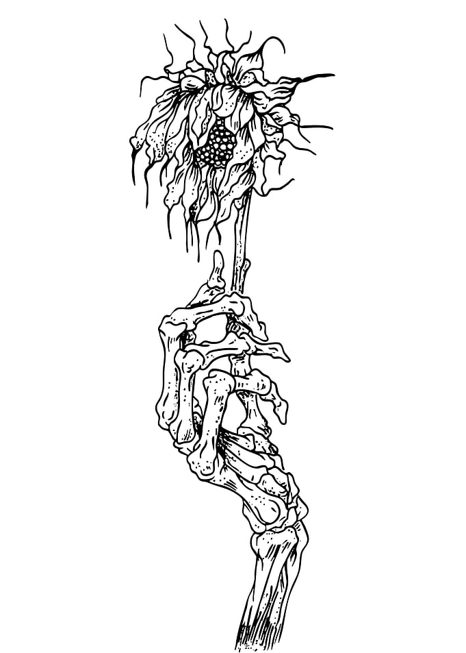 Skeleton Hand Holding Sunflower Line Art