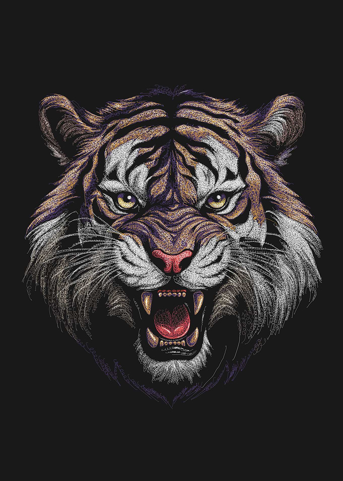 Roaring Tiger Head Illustration