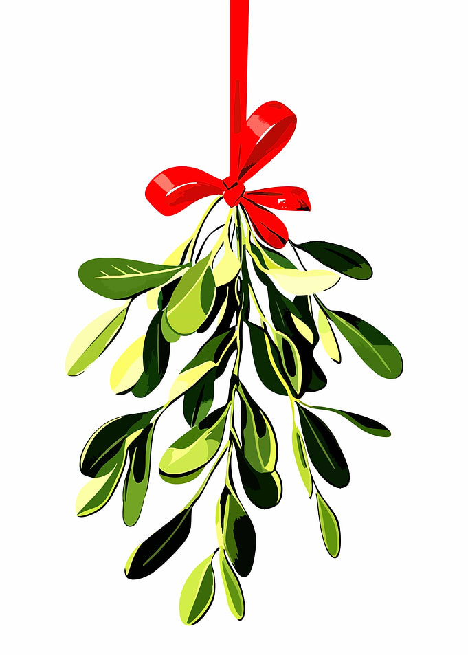 Mistletoe with Red Ribbon