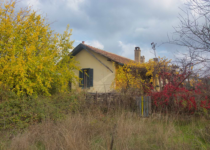 Autumn House with Colorful Foliage