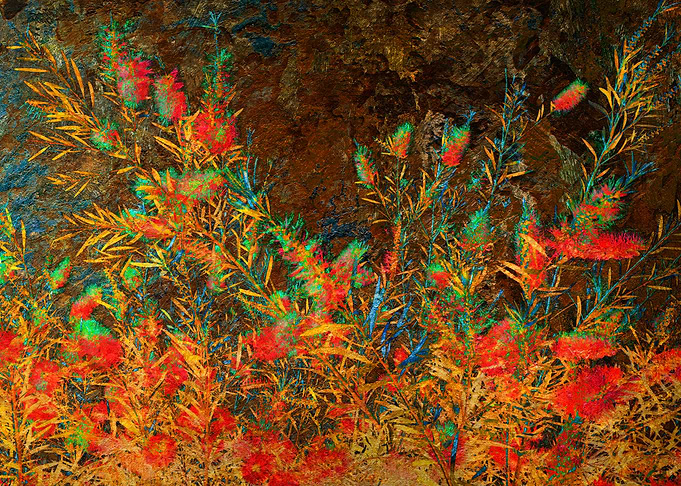 Bottle Brush Tree #3: Vibrant Floral Bush in Vivid Colors and Dark Textured Background