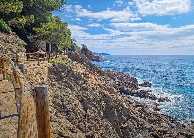 Coastal Path with Rocky Shoreline