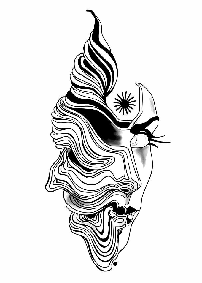 Abstract Face with Flowing Lines