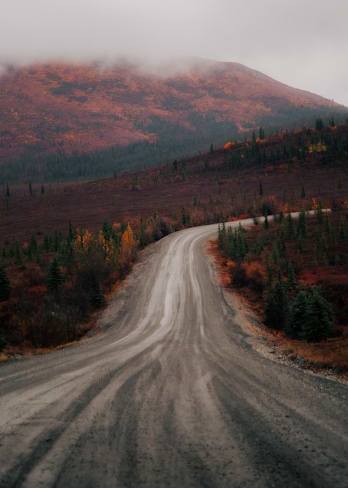 Autumn Road