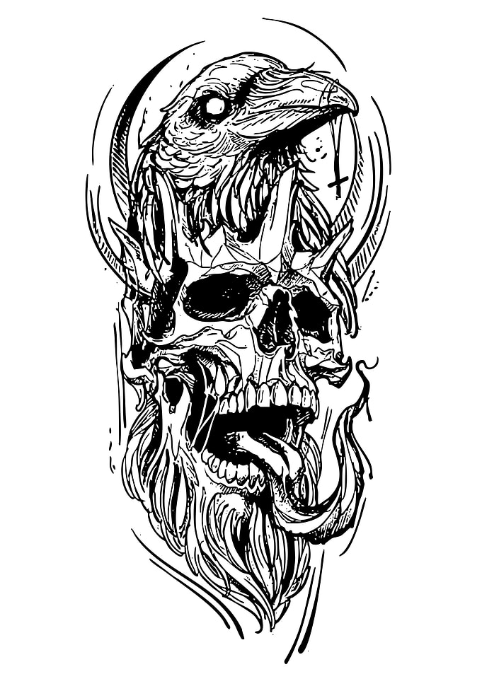 Raven and Skull Blackwork Illustration