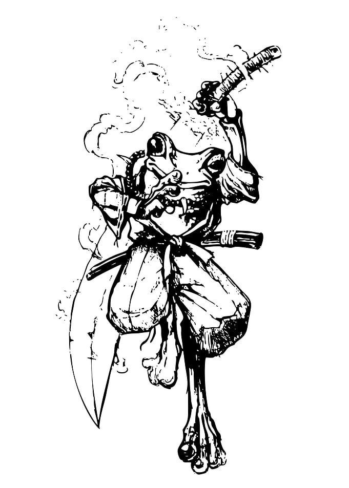 Frog Samurai Ink Drawing