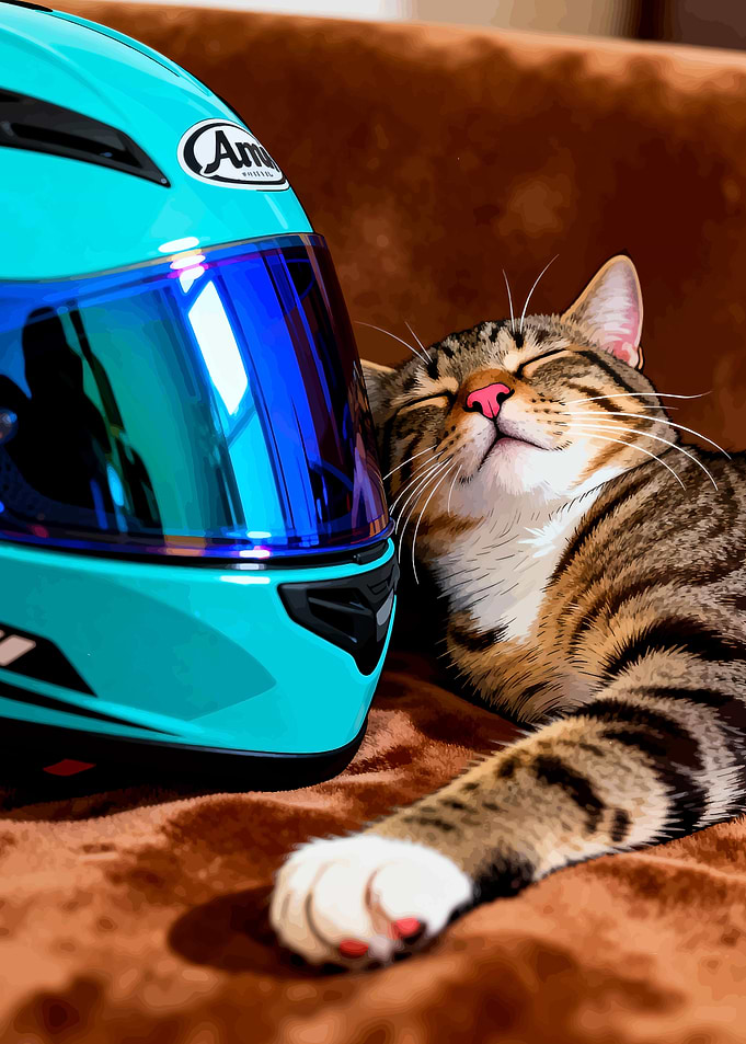 Cat Napping with Motorcycle Helmet