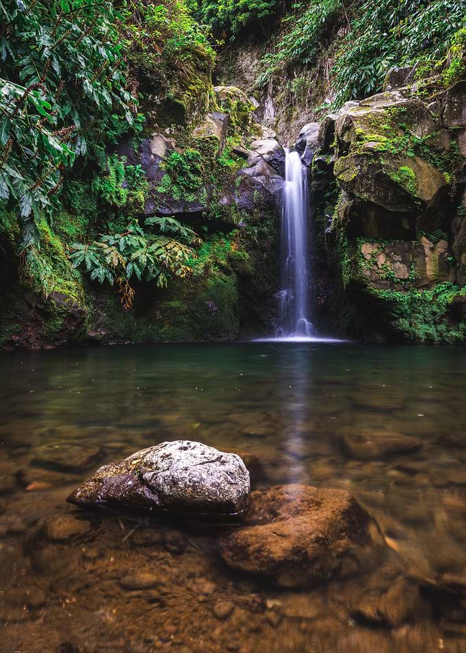 Waterfall in lush green forest