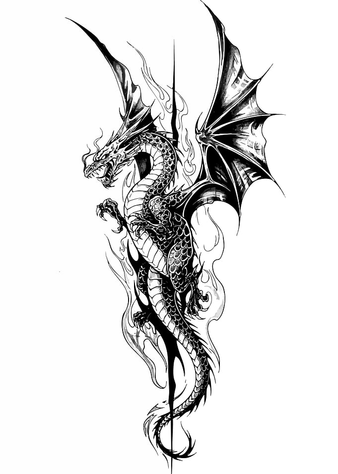 Detailed Dragon Illustration in Black and White