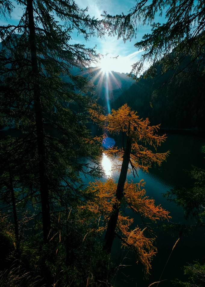 Sunlit Autumn Forest Lake Scene