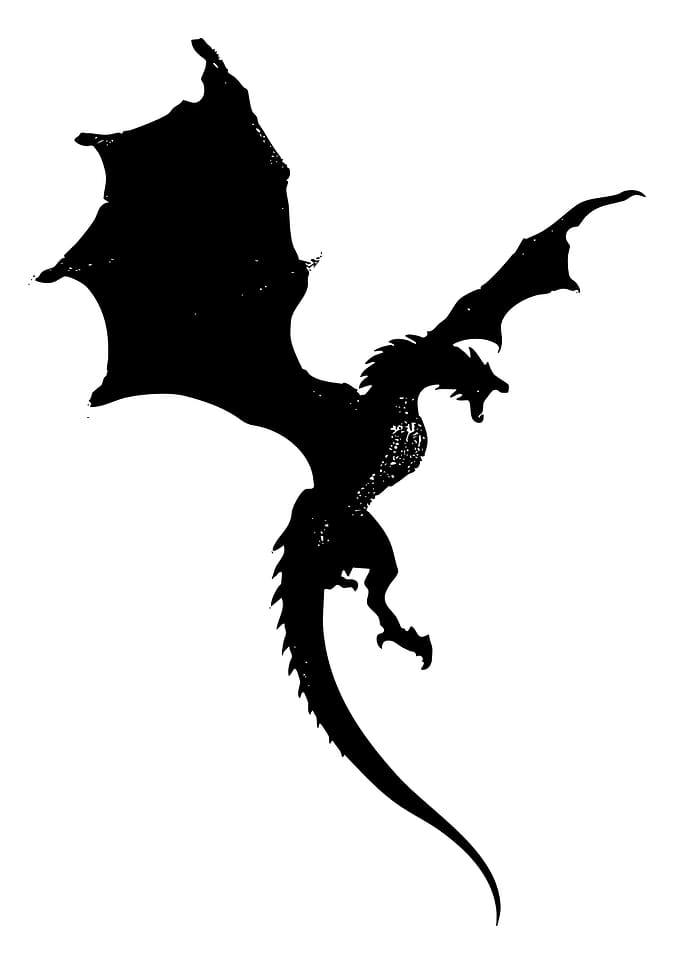 Black Dragon Silhouette