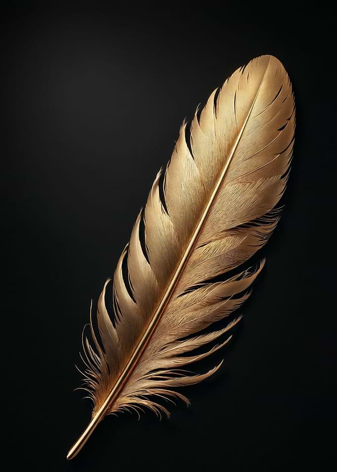 Golden Feather on Black Background