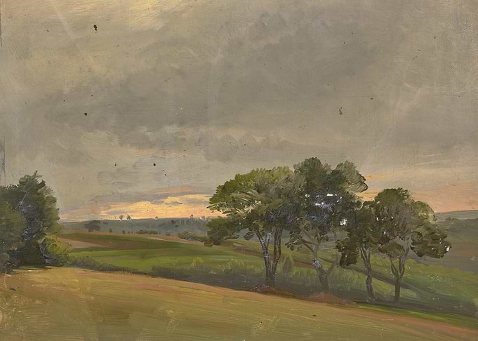 Evening meadow with trees