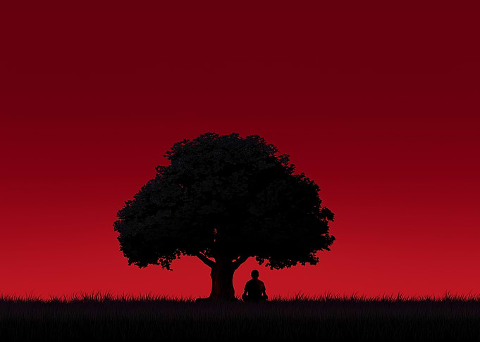 Silhouette of Tree and Meditating Figure