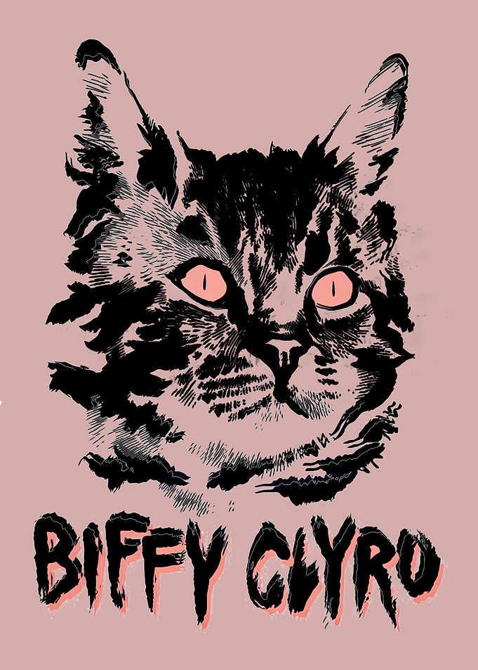 Biffy Clyro Dark Feral Cat