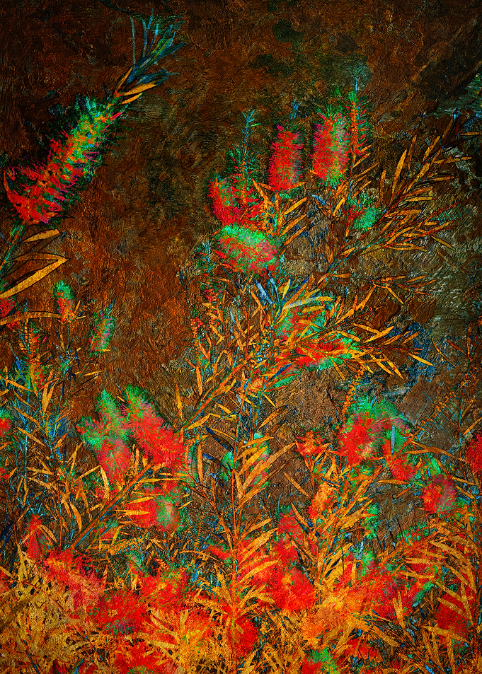 Bottle Brush Tree #5: Vivid Multi-Coloured Floral Bush with Golden Leaves against a Dark Textured Background