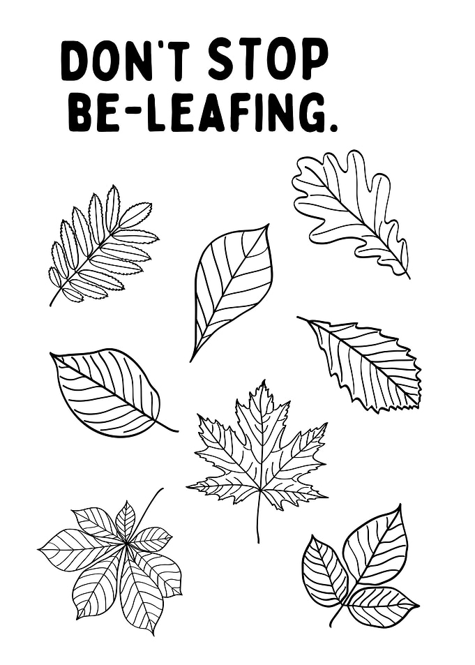Don't Stop Be-leafing