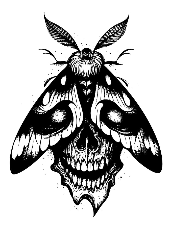 Moth Skull Black and White Art