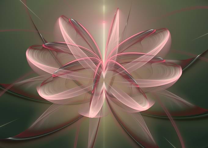Space water lily
