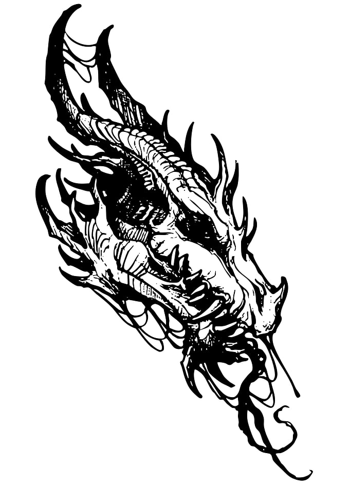 Dragon Head Black and White Sketch