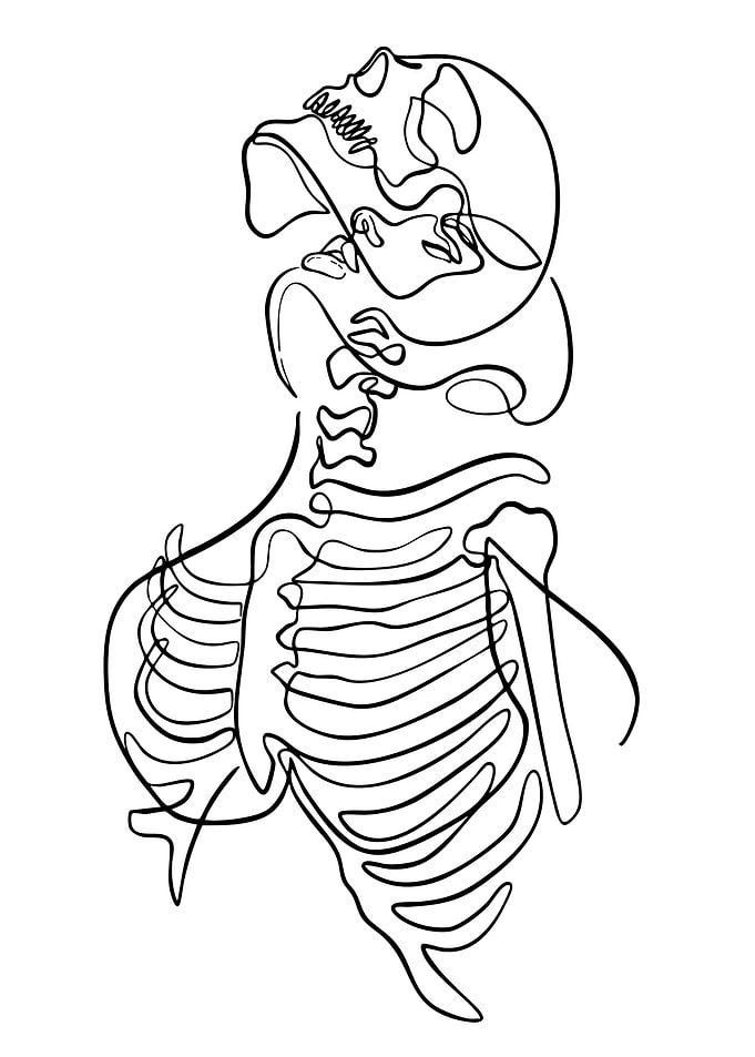 Continuous Line Art: Skeleton and Face