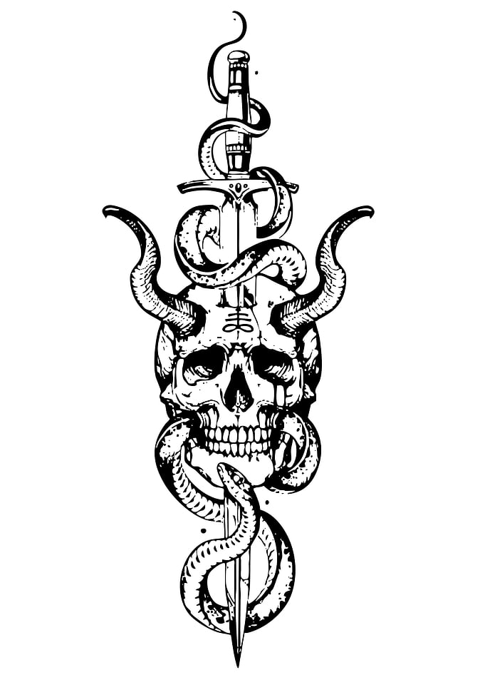 Skull, Snake, and Sword Illustration