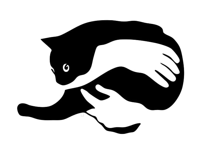 Cat and Hands Optical Illusion