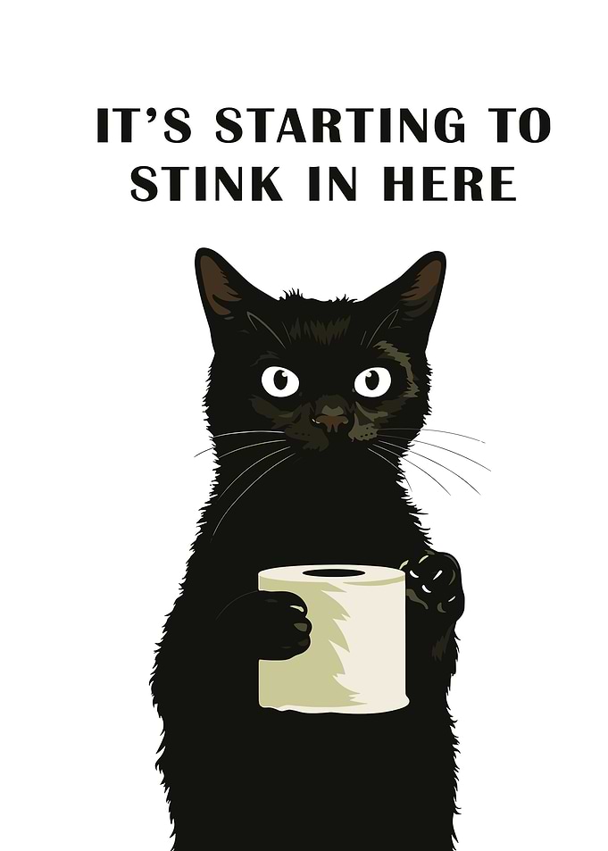 Stinky Cat with Toilet Paper