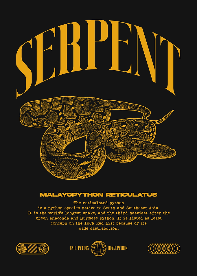 Reticulated Python Pet Snake Owner