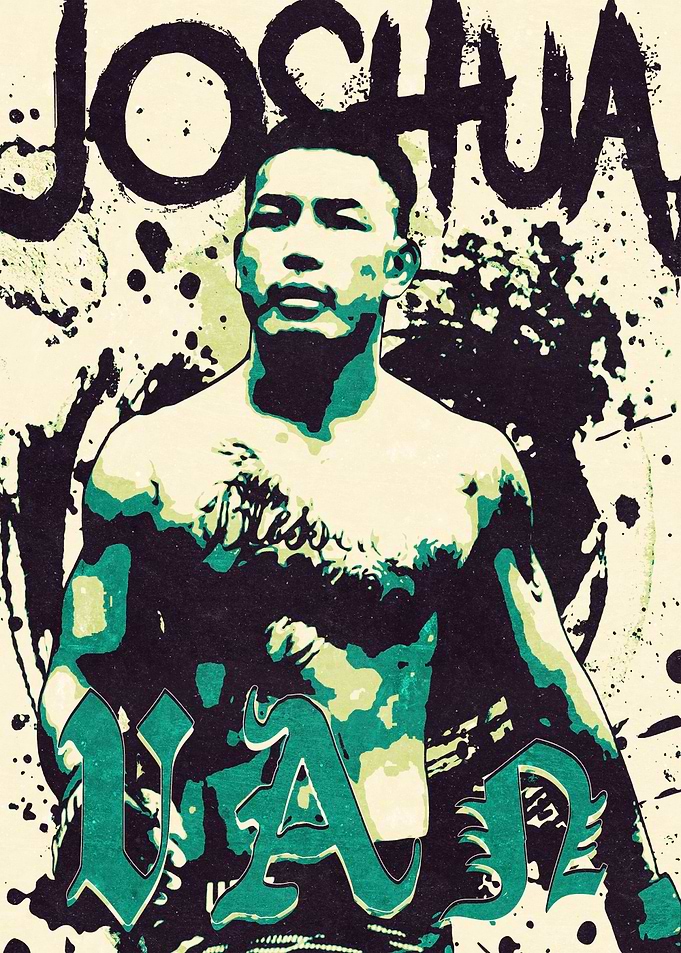 Joshua Van MMA Art