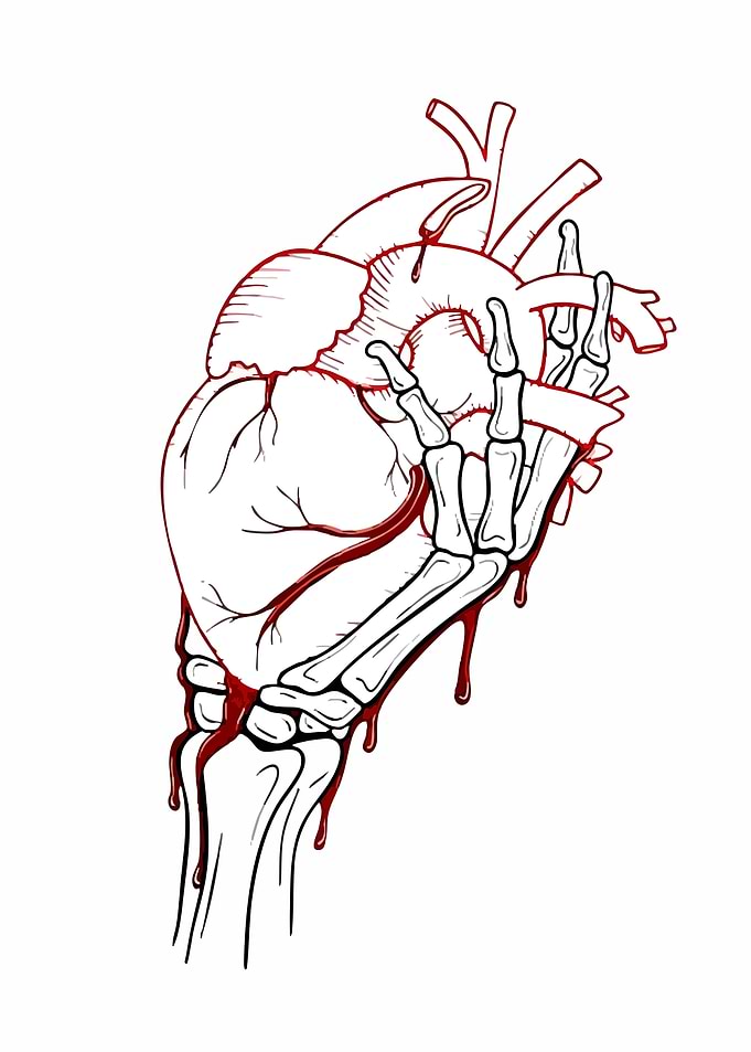 Anatomical Heart Held by Skeleton Hand