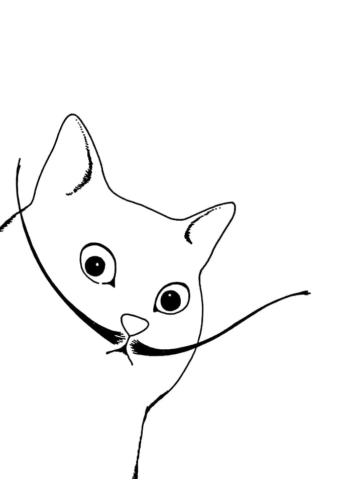 Cat with mustache line art
