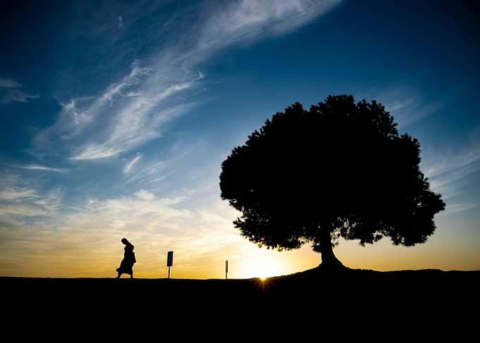 Silhouette of a person and tree at sunset