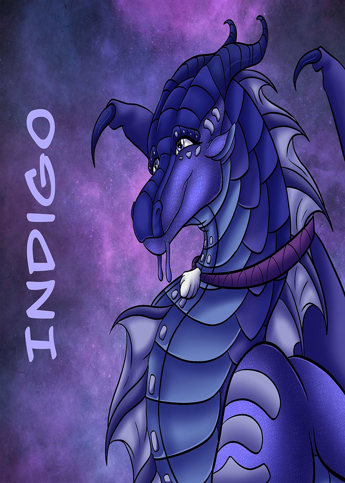Indigo Portrait