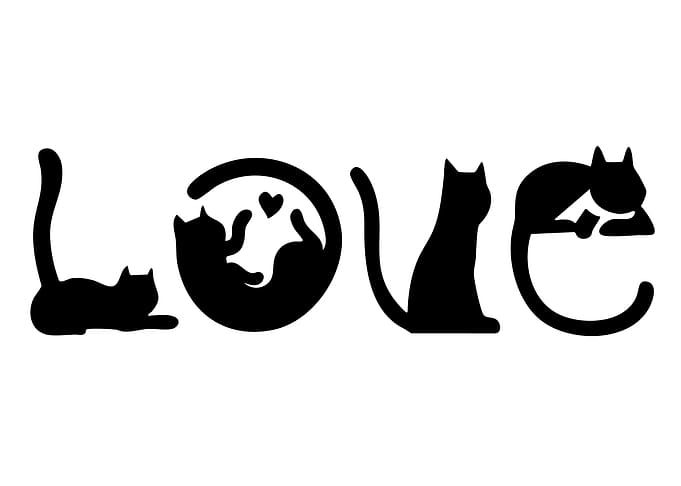 Cats forming the word LOVE
