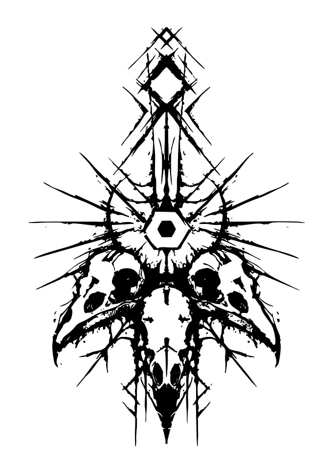 Abstract Black and White Skull Design