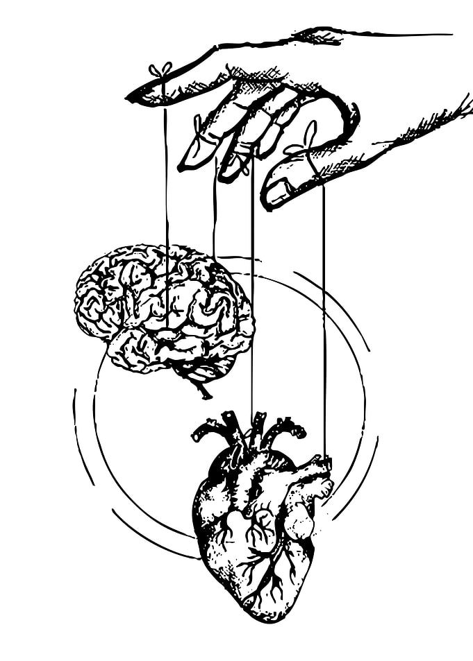 Brain and Heart Puppet