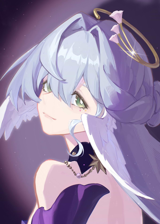 Honkai Star Rail Robin