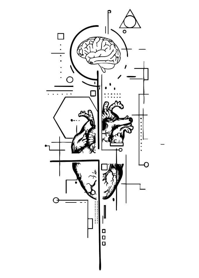 Brain and Heart Geometric Design