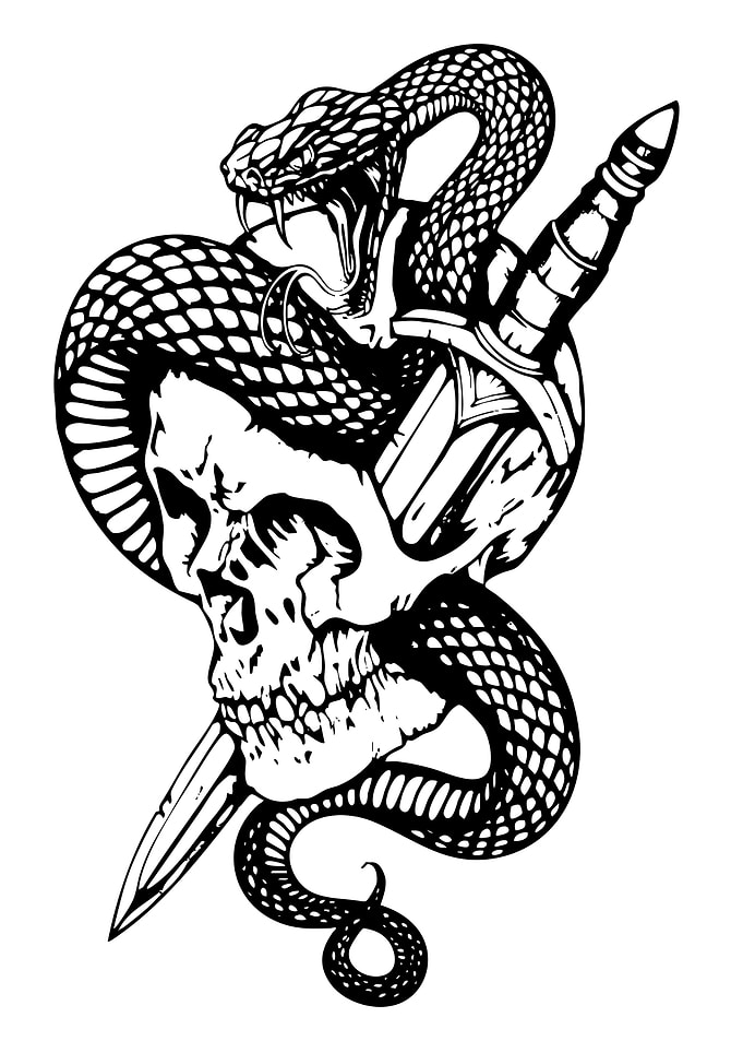 Skull, Snake, and Dagger Illustration