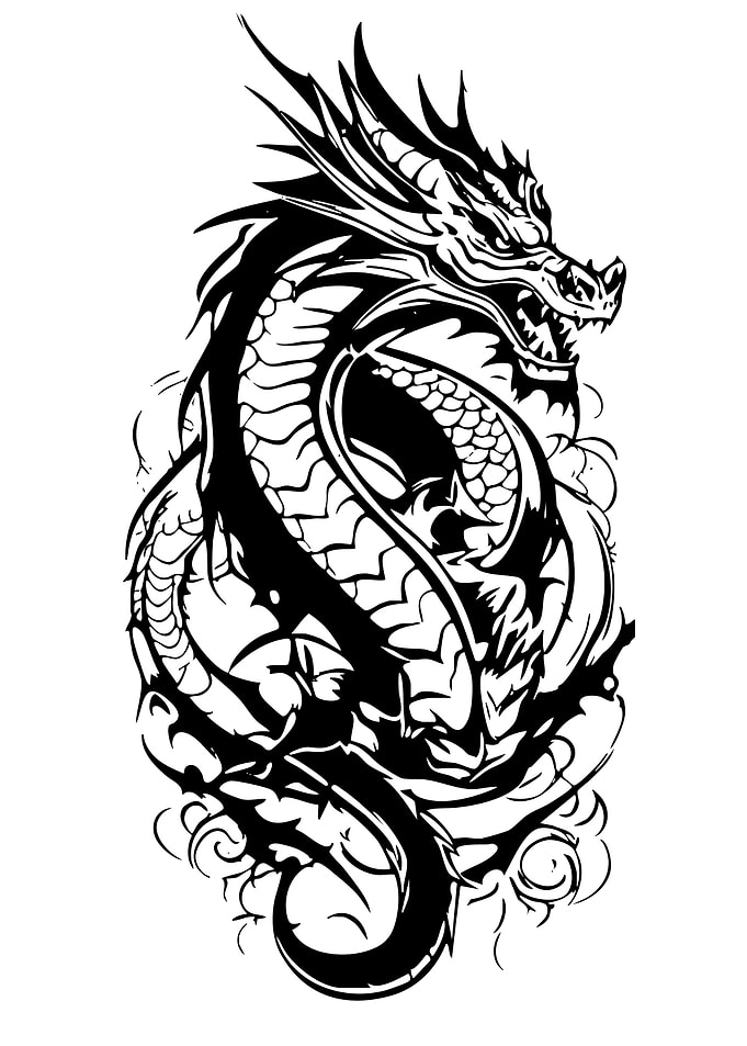 Black and White Dragon Illustration