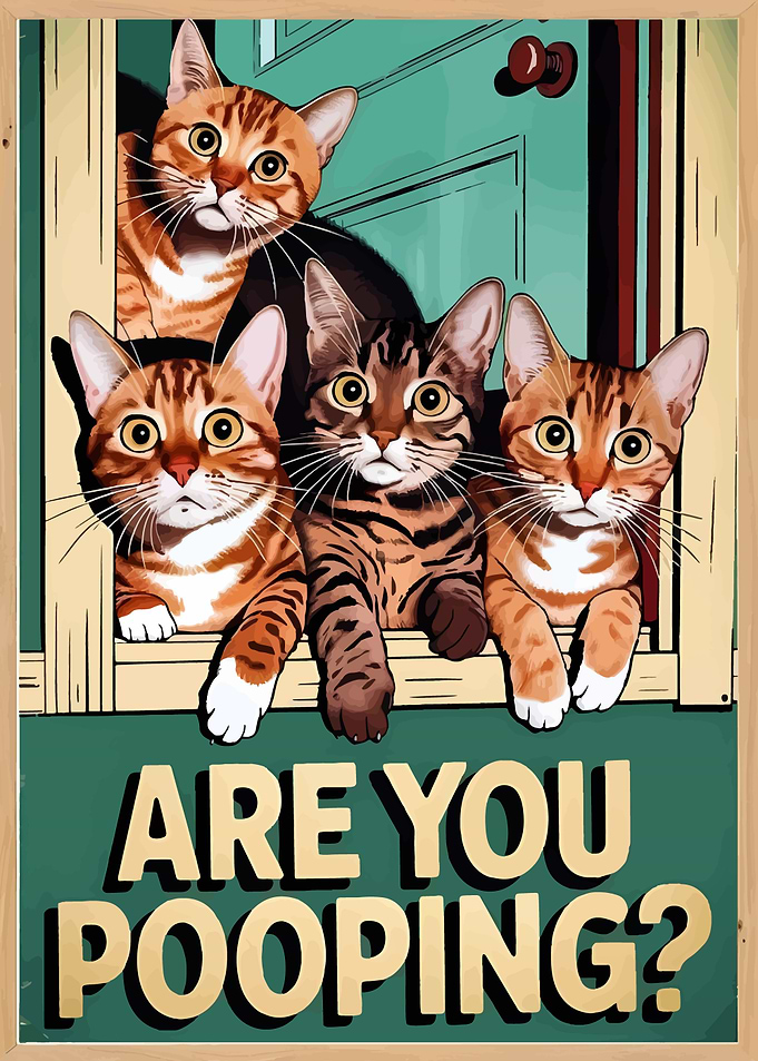 Are You Pooping? Cats at Window