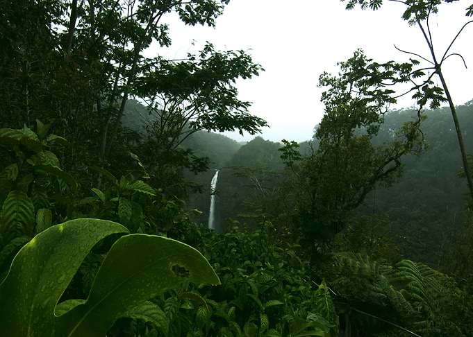 'Akaka Falls