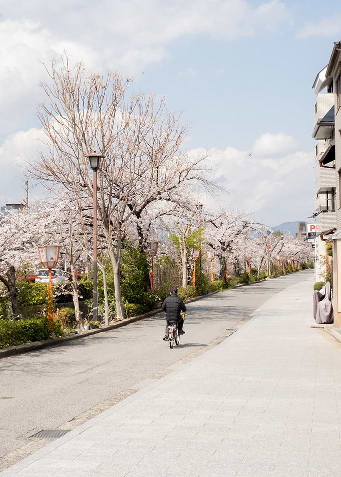Kyoto Japan