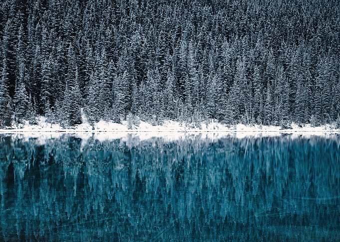 Winter Forest Reflection on Lake