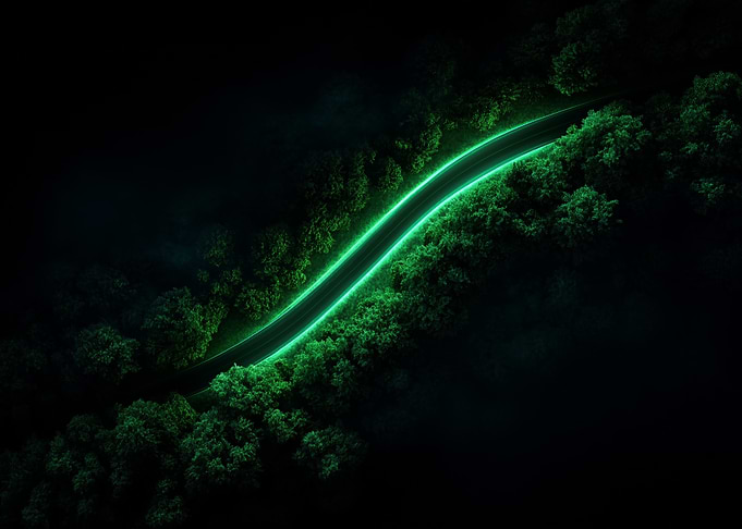 Neon Green Road Through Forest