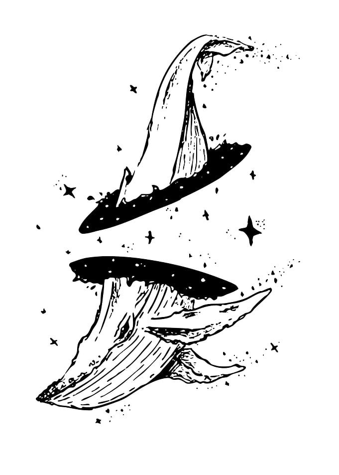 Whale and Witch Hat Illustration